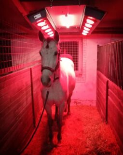 solarium_pro_kone